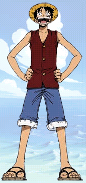 Monkey D luffy