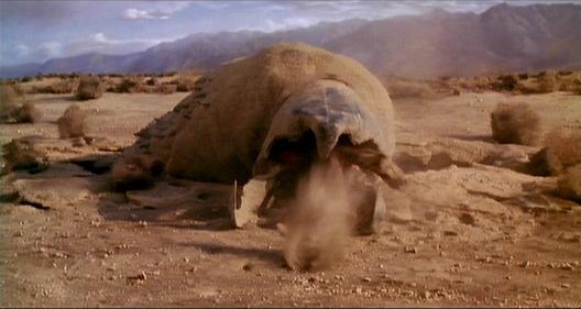 Graboid