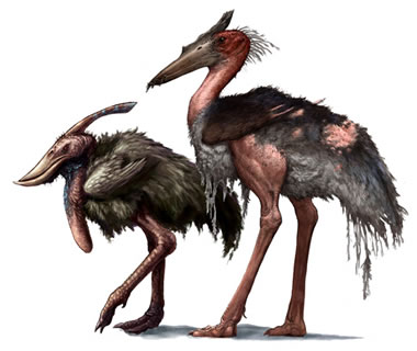 http://surbrook.devermore.net/adaptationscreatures/movies/kong/carrionstork.jpg