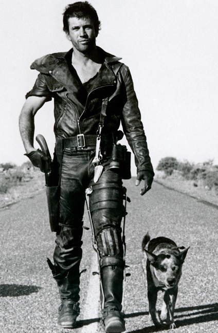 Dog Mad Max